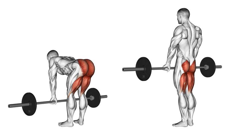 Back Deadlifts Back Workout