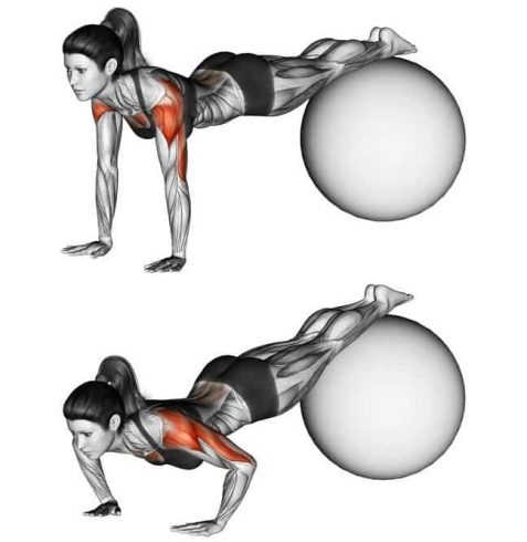 Quick Home Workouts for Chest
