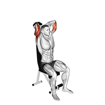 Tricep Workout With Dumbbells