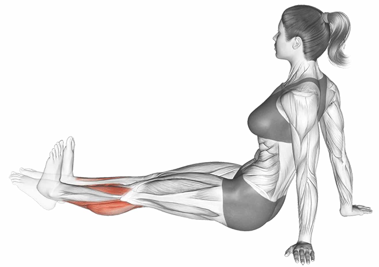 Ankle Mobility Stretches for Ankle Health and Avoiding Injury | A Lean Life