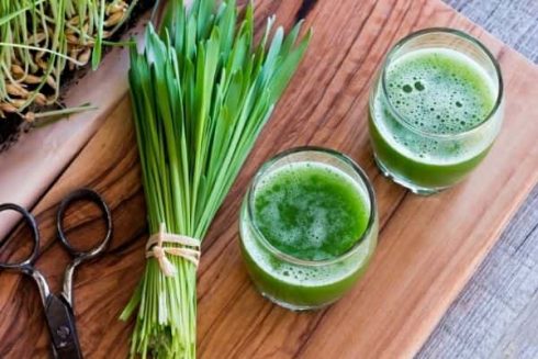 Wheatgrass Superfood