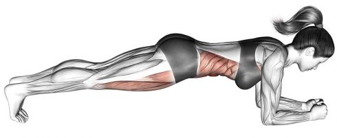 Plank Bodyweight Ab Workout