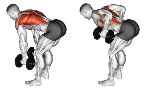 Bent over two-arm Dumbbell Rows