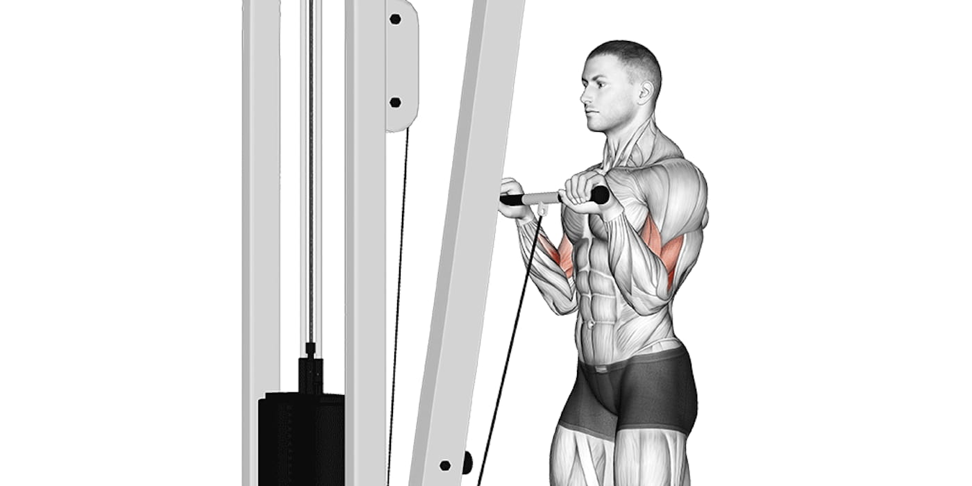 Youtube Reverse Cable Curl How To PROPERLY Cable Bicep Curl For 