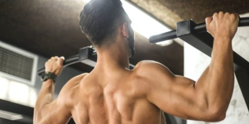 Bodyweight Back Exercises