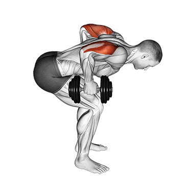 Dumbbell Kickbacks