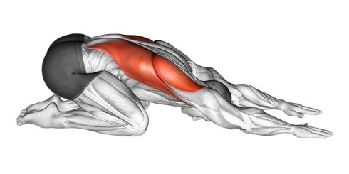 Best Lat Stretches