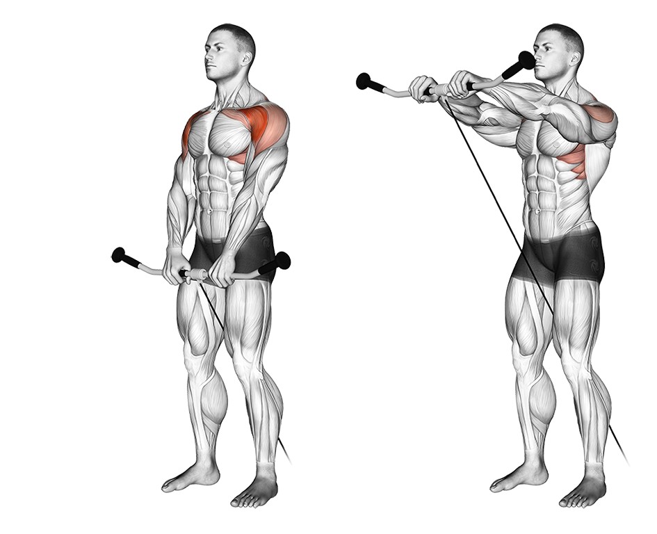 Cable Front Raise