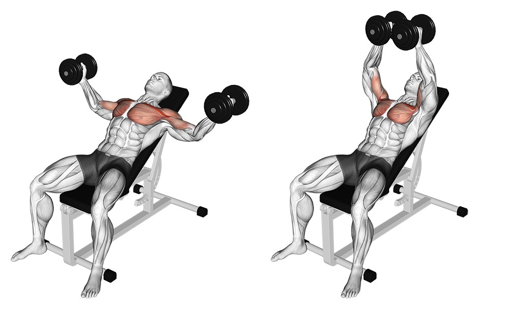 Incline Dumbbell Fly