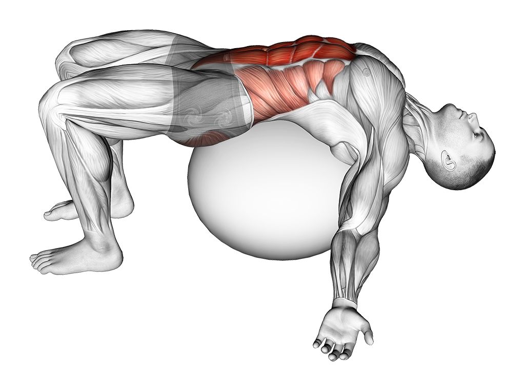 Lie on Exercise Ball
