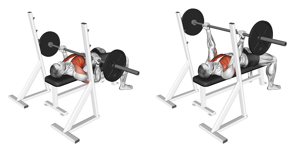 Reverse Grip Bench Press